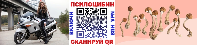 Псилоцибиновые грибы мицелий  Вихоревка 